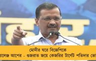 মোদীর ঘরে বিজেপিকে চ্যালেঞ্জ আপের - গুজরাত জয়ে কেজরির টার্গেট পতিদার ভোট