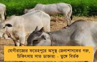 যোগীরাজ্যের ফতেহপুরে অসুস্থ জেলাশাসকের গরু, চিকিৎসায় সাত ডাক্তার! - তুঙ্গে বির্তক