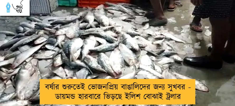 বর্ষার শুরুতেই ভোজনপ্রিয় বাঙালিদের জন্য সুখবর - ডায়মন্ড হারবারে ভিড়ছে ইলিশ বোঝাই ট্রলার