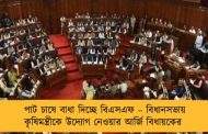 পাট চাষে বাধা দিচ্ছে বিএসএফ – বিধানসভায় কৃষিমন্ত্রীকে উদ্যোগ নেওয়ার আর্জি বিধায়কের