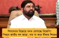 শিবসেনার বিদ্রোহে মদত যোগাচ্ছে বিজেপি? ‘পিছনে জাতীয় দল আছে’, নাম না করে স্বীকার শিন্ডের