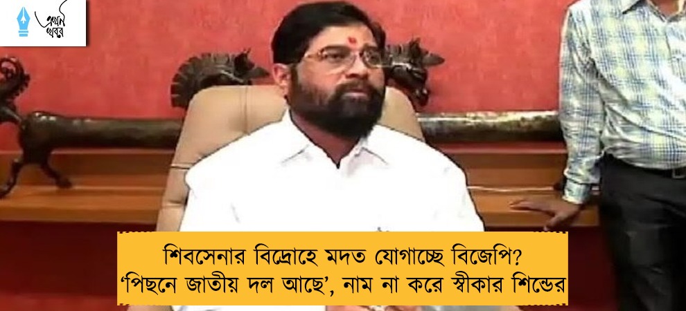 শিবসেনার বিদ্রোহে মদত যোগাচ্ছে বিজেপি? ‘পিছনে জাতীয় দল আছে’, নাম না করে স্বীকার শিন্ডের
