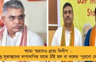 শ্যামা স্মরণেও ব্রাত্য দিলীপ – শুভেন্দু-সুকান্তদের দাপাদাপির মাঝে ঠাঁই হল না দলের ‘পুরনো যোদ্ধা’র