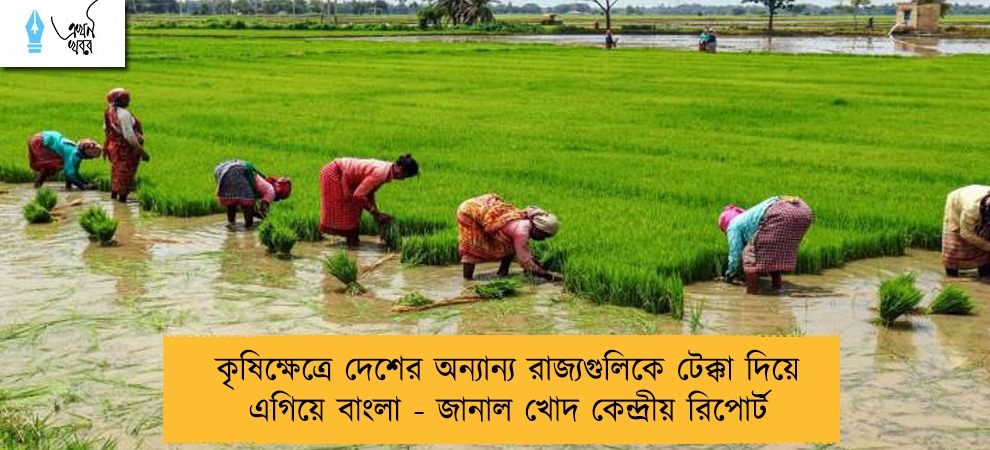 কৃষিক্ষেত্রে দেশের অন্যান্য রাজ্যগুলিকে টেক্কা দিয়ে এগিয়ে বাংলা - জানাল খোদ কেন্দ্রীয় রিপোর্ট