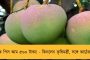 করোনার কারণে কাতার বিশ্বকাপে বাড়তি সুবিধা পাবে দলগুলি - সিদ্ধান্ত ফিফার