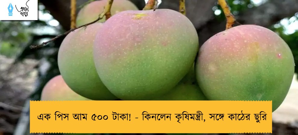 এক পিস আম ৫০০ টাকা! - কিনলেন কৃষিমন্ত্রী, সঙ্গে কাঠের ছুরি