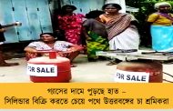 গ্যাসের দামে পুড়ছে হাত – সিলিন্ডার বিক্রি করতে চেয়ে পথে উত্তরবঙ্গের চা শ্রমিকরা