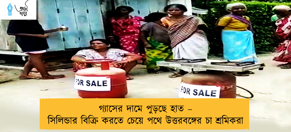 গ্যাসের দামে পুড়ছে হাত – সিলিন্ডার বিক্রি করতে চেয়ে পথে উত্তরবঙ্গের চা শ্রমিকরা