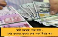 মোদী জমানায় পতন জারি - এবার ডলারের তুলনায় ফের পড়ল টাকার দাম