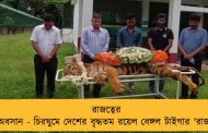 রাজত্বের অবসান - চিরঘুমে দেশের বৃদ্ধতম রয়েল বেঙ্গল টাইগার 'রাজা'