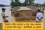 লখনউয়ের বাঙালি টোলায় নৃশংসতা! – নিজের পোষ্য পিটবুলের কামড়ে মৃত্যু ৮০ বছরের বৃদ্ধার