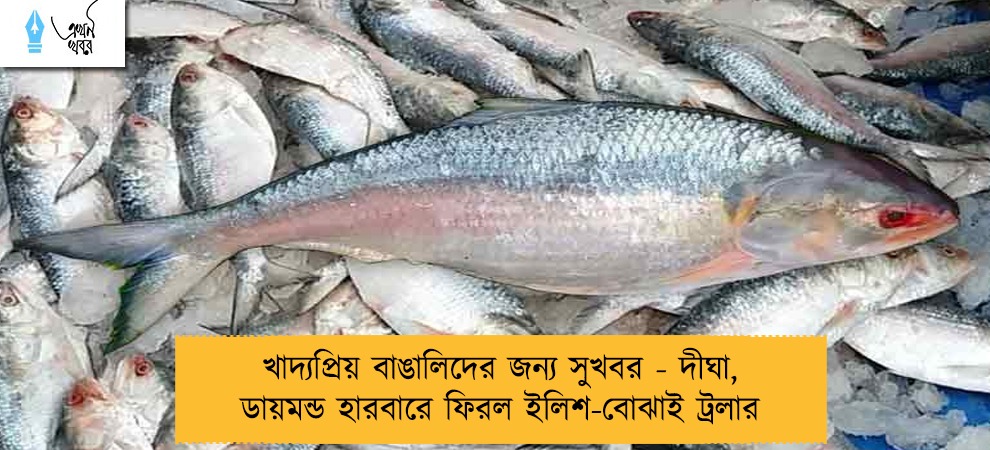 খাদ্যপ্রিয় বাঙালিদের জন্য সুখবর - দীঘা, ডায়মন্ড হারবারে ফিরল ইলিশ-বোঝাই ট্রলার
