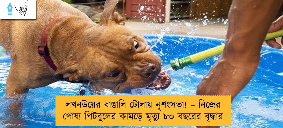 লখনউয়ের বাঙালি টোলায় নৃশংসতা! – নিজের পোষ্য পিটবুলের কামড়ে মৃত্যু ৮০ বছরের বৃদ্ধার