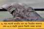 দু’ঘণ্টায় দু’বার বিশ্বরেকর্ড - বিশ্ব অ্যাথলেটিক্সে অনন্য নজির নাইজেরিয়ার স্প্রিন্টার অ্যামুসানের