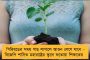 আসন্ন দাবা অলিম্পিয়াডে নয়া ভূমিকায় দিব্যেন্দু - বাড়তি দায়িত্ব বাঙালি গ্র্যান্ড মাস্টারের কাঁধে