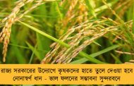 রাজ্য সরকারের উদ্যোগে কৃষকদের হাতে তুলে দেওয়া হবে নোনাস্বর্ণ ধান - ভাল ফলনের সম্ভাবনা সুন্দরবনে