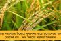 আগের চেয়ে ভাল আছেন রুশদি, বার করা হয়েছে ভেন্টিলেটর থেকে - জানালেন লেখকের এজেন্ট
