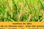 প্রফুল্ল বৈঠকে থাকলে নেওয়া হবে কঠোর পদক্ষেপ! - রাজ্য ফুটবল সংস্থাগুলিকে সতর্ক করল শীর্ষ আদালত