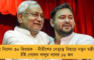 শপথ নিলেন ৩০ বিধায়ক - নীতীশের নেতৃত্বে বিহারে নতুন মন্ত্রীসভা, ঠাঁই পেলেন লালুর দলের ১৬ জন