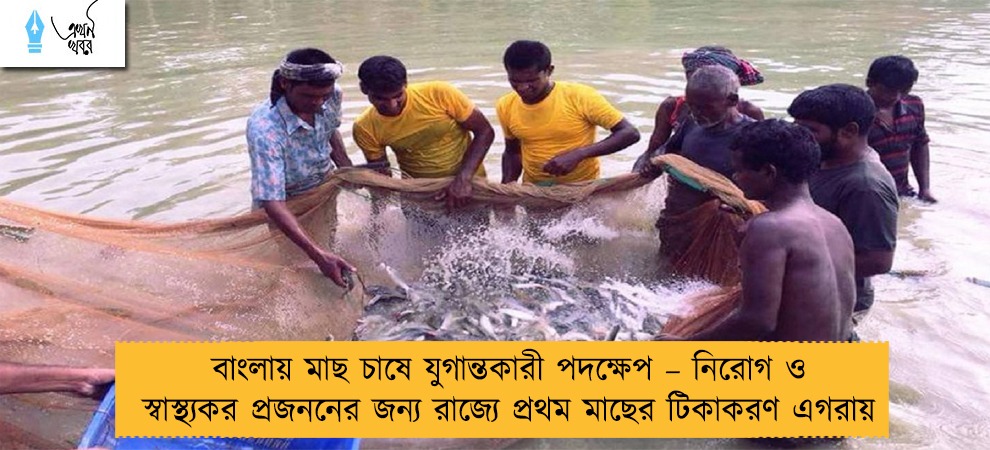 বাংলায় মাছ চাষে যুগান্তকারী পদক্ষেপ – নিরোগ ও স্বাস্থ্যকর প্রজননের জন্য রাজ্যে প্রথম মাছের টিকাকরণ এগরায়