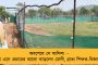 চতুর্থীর দিন খুলতে পারে টালা সেতু – উদ্বোধন করতে পারেন মুখ্যমন্ত্রী