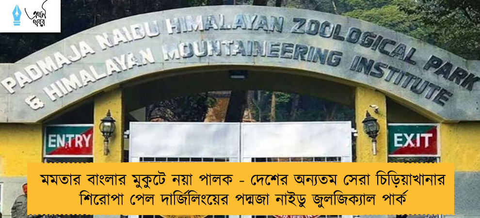 মমতার বাংলার মুকুটে নয়া পালক - দেশের অন্যতম সেরা চিড়িয়াখানার শিরোপা পেল দার্জিলিংয়ের পদ্মজা নাইডু জুলজিক্যাল পার্ক