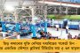 উৎসবের আলো জীবন থেকে সমস্ত অন্ধকার দূর করে দিক - কালীপুজো এবং দীপাবলি উপলক্ষে দেশবাসীকে শুভেচ্ছা বার্তা মমতার