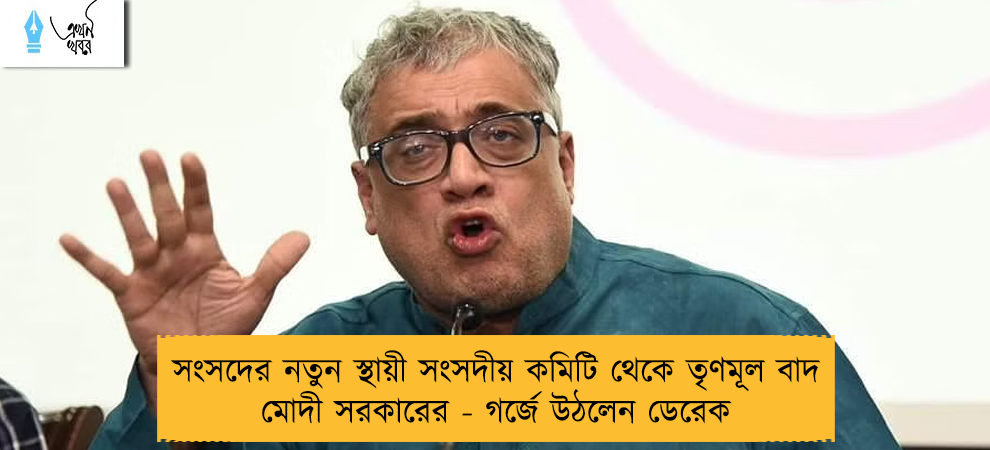 সংসদের নতুন স্থায়ী সংসদীয় কমিটি থেকে তৃণমূল বাদ মোদী সরকারের - গর্জে উঠলেন ডেরেক