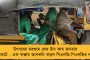 বিসর্জনের শোভাযাত্রায় দেরি – বিজেপি বিধায়কের নিরাপত্তারক্ষীদের বিরুদ্ধে পুজো কমিটির সদস্যদের মারধরের অভিযোগ