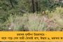 সংসদীয় কমিটি নিয়েও রাজনীতি বিজেপির – সরিয়ে দেওয়া হল তৃণমূল সাংসদ সুদীপকে, এলেন লকেট