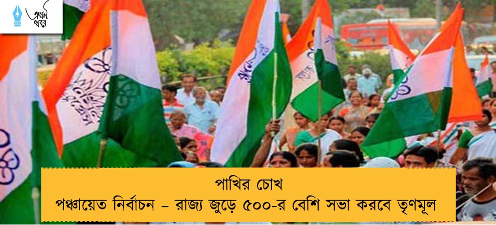 পাখির চোখ পঞ্চায়েত নির্বাচন – রাজ্য জুড়ে ৫০০-র বেশি সভা করবে তৃণমূল