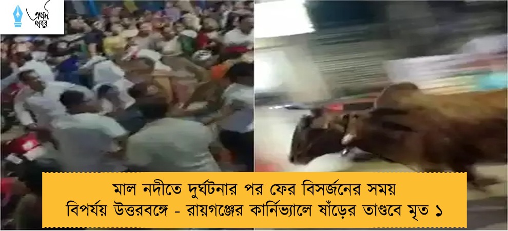 মাল নদীতে দুর্ঘটনার পর ফের বিসর্জনের সময় বিপর্যয় উত্তরবঙ্গে - রায়গঞ্জের কার্নিভ্যালে ষাঁড়ের তাণ্ডবে মৃত ১