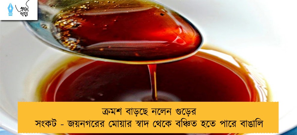 ক্রমশ বাড়ছে নলেন গুড়ের সংকট - জয়নগরের মোয়ার স্বাদ থেকে বঞ্চিত হতে পারে বাঙালি