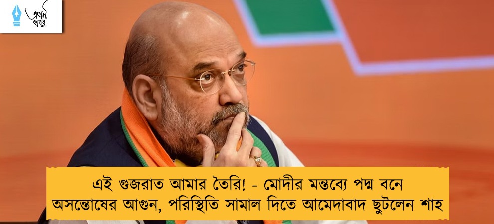 এই গুজরাত আমার তৈরি! - মোদীর মন্তব্যে পদ্ম বনে অসন্তোষের আগুন, পরিস্থিতি সামাল দিতে আমেদাবাদ ছুটলেন শাহ
