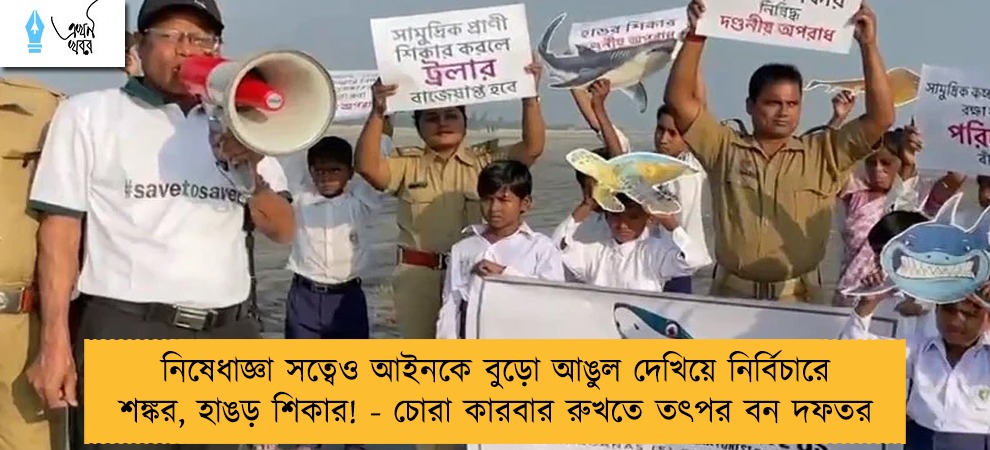 নিষেধাজ্ঞা সত্বেও আইনকে বুড়ো আঙুল দেখিয়ে নির্বিচারে শঙ্কর, হাঙড় শিকার! - চোরা কারবার রুখতে তৎপর বন দফতর