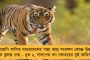 নজির – সারা দেশে মহিলা জনপ্রতিনিধিদের তালিকায় দ্বিতীয় স্থানে মমতার বাংলা