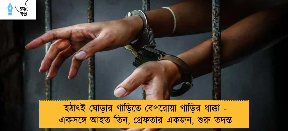 হঠাৎই ঘোড়ার গাড়িতে বেপরোয়া গাড়ির ধাক্কা - একসঙ্গে আহত তিন, গ্রেফতার একজন, শুরু তদন্ত