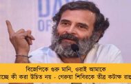 বিজেপিকে গুরু মানি, ওরাই আমাকে শেখাচ্ছে কী করা উচিত নয় - গেরুয়া শিবিরকে তীব্র কটাক্ষ রাহুলের