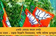 একটা বোমার বদলে দশটা বোমা মারব – মন্তব্য বিজেপি বিধায়কের, পাল্টা কটাক্ষ তৃণমূলের
