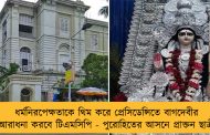 ধর্মনিরপেক্ষতাকে থিম করে প্রেসিডেন্সিতে বাগদেবীর আরাধনা করবে টিএমসিপি - পুরোহিতের আসনে প্রাক্তন ছাত্রী