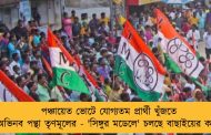 পঞ্চায়েত ভোটে যোগ্যতম প্রার্থী খুঁজতে অভিনব পন্থা তৃণমূলের - 'সিঙ্গুর মডেলে' চলছে বাছাইয়ের কাজ