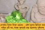 মোদীর আমলে রাষ্ট্রায়ত্ত ব্যাঙ্কের শাখা বন্ধের রেকর্ড – প্রচারের আড়ালে বিপুল ক্ষতির অঙ্ক