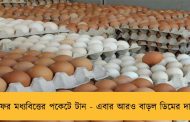 ফের মধ্যবিত্তের পকেটে টান - এবার আরও বাড়ল ডিমের দাম
