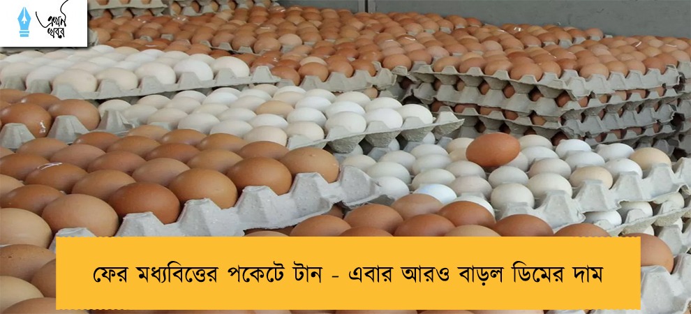 ফের মধ্যবিত্তের পকেটে টান - এবার আরও বাড়ল ডিমের দাম