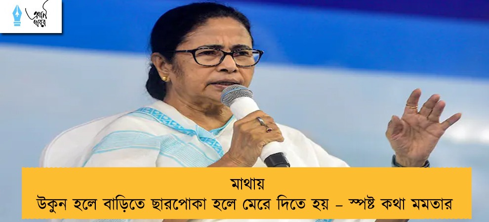 মাথায় উকুন হলে বাড়িতে ছারপোকা হলে মেরে দিতে হয় – স্পষ্ট কথা মমতার
