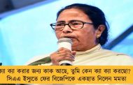 ক্যা ক্যা করার জন্য কাক আছে, তুমি কেন ক্যা ক্যা করছো? - সিএএ ইস্যুতে ফের বিজেপিকে একহাত নিলেন মমতা