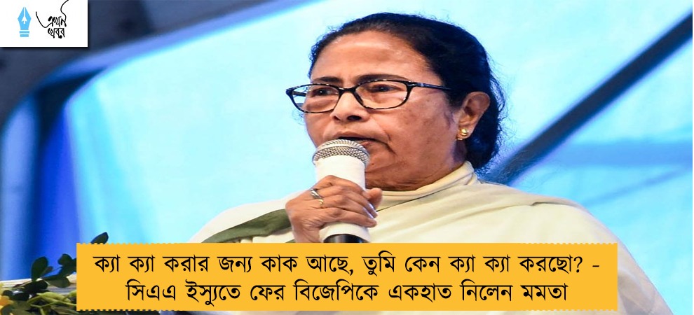 ক্যা ক্যা করার জন্য কাক আছে, তুমি কেন ক্যা ক্যা করছো? - সিএএ ইস্যুতে ফের বিজেপিকে একহাত নিলেন মমতা