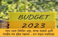 গয়না থেকে ভিটামিন ওষুধ, আসন্ন বাজেটে ৩৫টি সামগ্রীর দাম বৃদ্ধির সম্ভাবনা – চাপ বাড়বে মধ্যবিত্তের