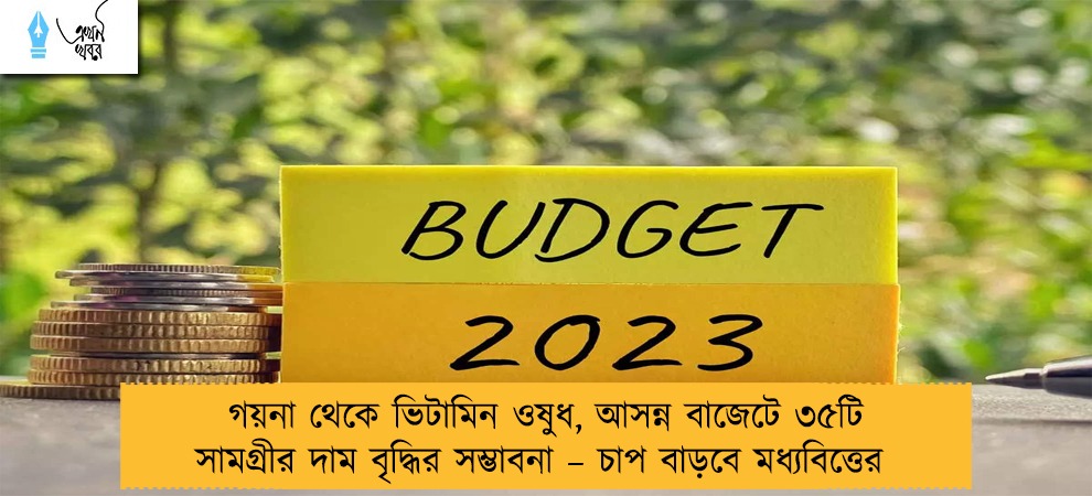 গয়না থেকে ভিটামিন ওষুধ, আসন্ন বাজেটে ৩৫টি সামগ্রীর দাম বৃদ্ধির সম্ভাবনা – চাপ বাড়বে মধ্যবিত্তের