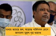 মাথায় জমেছে জল, আক্রান্ত পার্কিনসন রোগে - জানালেন মুকুল-পুত্র শুভ্রাংশু